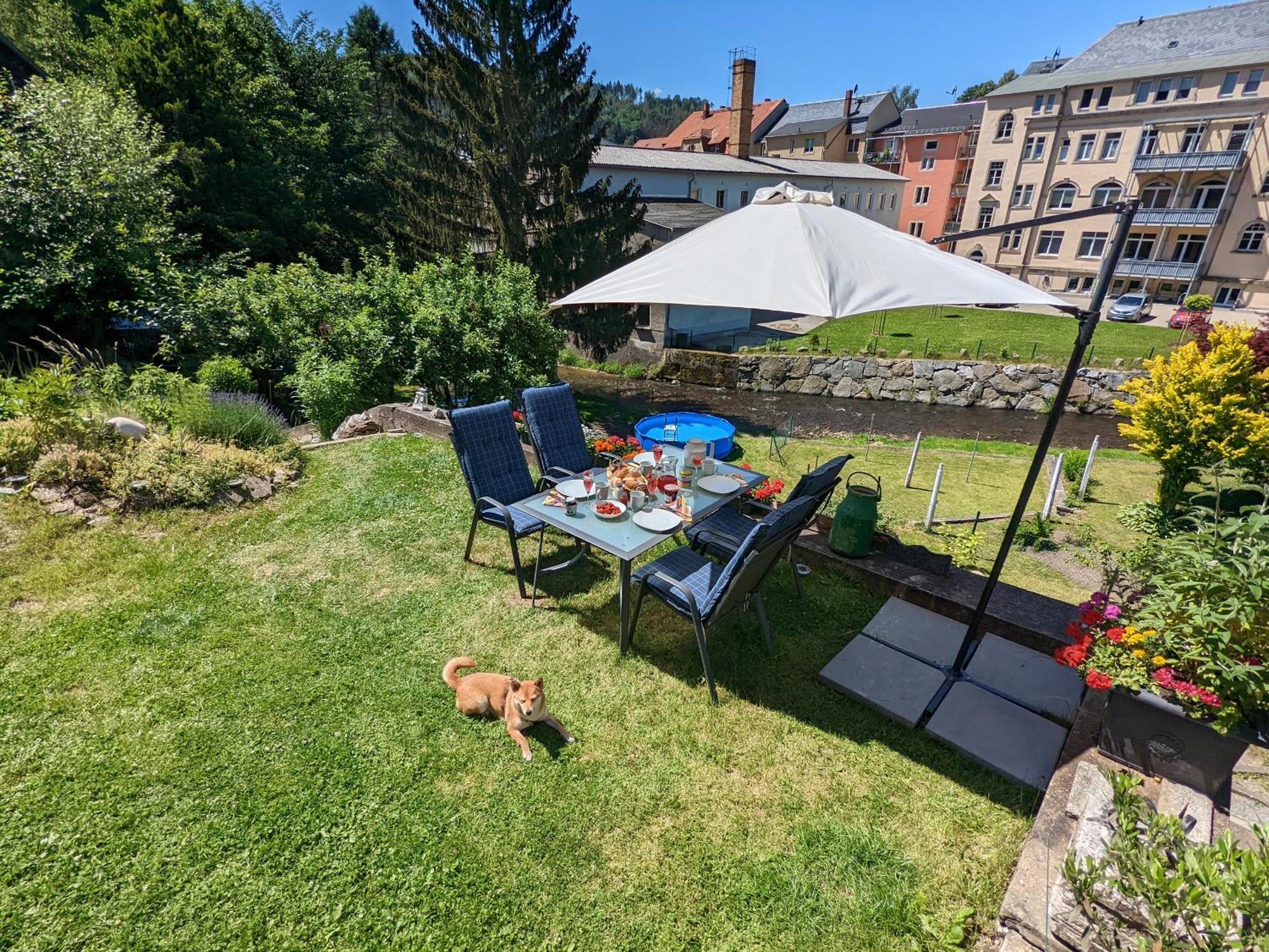 Ut - Urlaubsmagie - Urlaubstraum Mit Whirlpool, Pool & Sauna Sebnitz Exterior foto